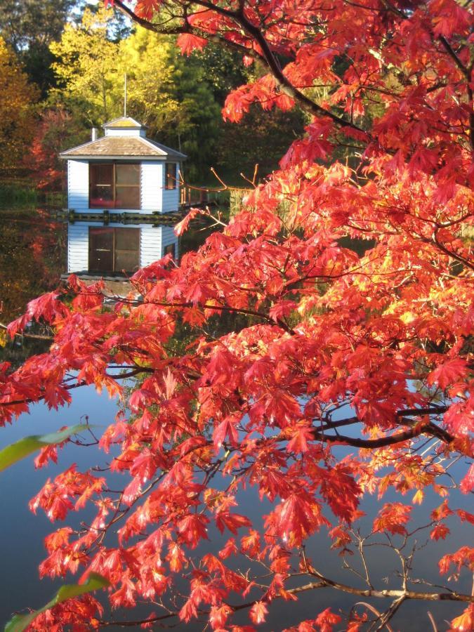 Dantosa Blue Mountains Retreat Βίλα Katoomba Εξωτερικό φωτογραφία